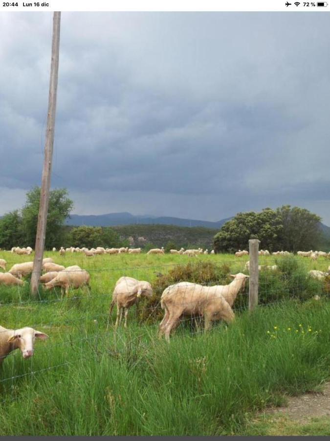 Vistas A La Montana En Un Pueblo Con Encanto. El Pueyo de Araguás Buitenkant foto