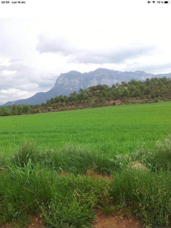 Vistas A La Montana En Un Pueblo Con Encanto. El Pueyo de Araguás Buitenkant foto