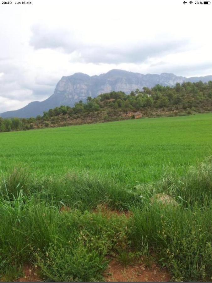 Vistas A La Montana En Un Pueblo Con Encanto. El Pueyo de Araguás Buitenkant foto